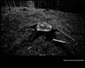 V1USCIPARK5