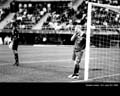YXUNLAZIO3